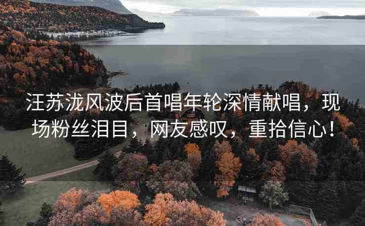 汪蘇瀧風(fēng)波后首唱年輪深情獻(xiàn)唱，現(xiàn)場(chǎng)粉絲淚目，網(wǎng)友感嘆，重拾信心！