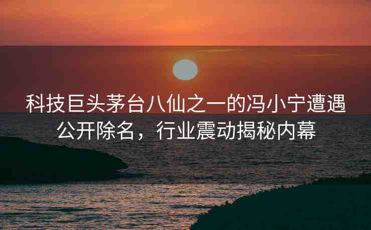 科技巨頭茅臺(tái)八仙之一的馮小寧遭遇公開(kāi)除名，行業(yè)震動(dòng)揭秘內(nèi)幕