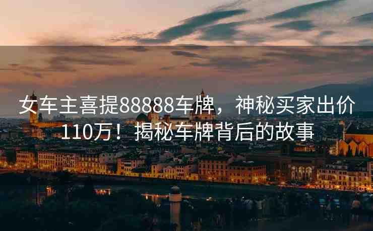 女車主喜提88888車牌，神秘買家出價(jià)110萬！揭秘車牌背后的故事