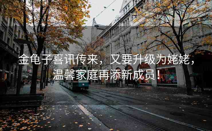 金龜子喜訊傳來，又要升級為姥姥，溫馨家庭再添新成員！