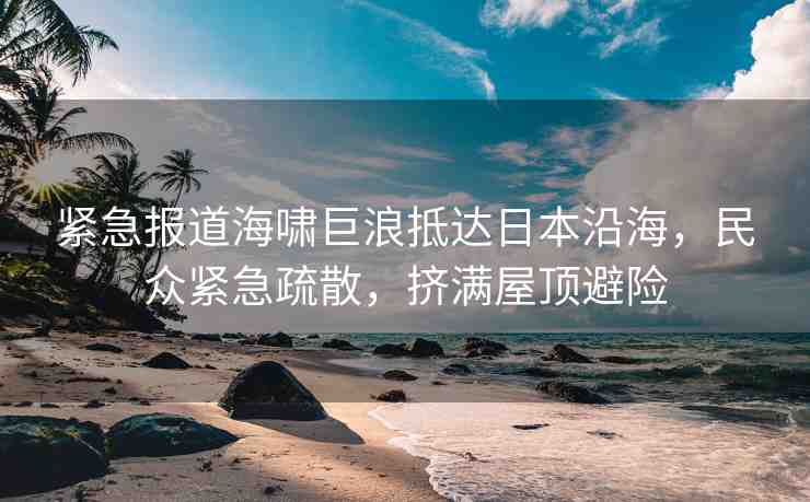 緊急報(bào)道海嘯巨浪抵達(dá)日本沿海，民眾緊急疏散，擠滿屋頂避險(xiǎn)