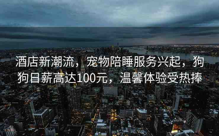 酒店新潮流，寵物陪睡服務(wù)興起，狗狗日薪高達100元，溫馨體驗受熱捧