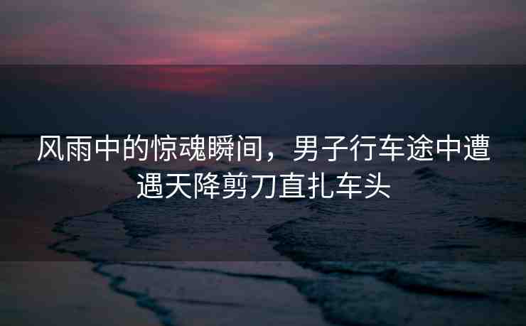 風(fēng)雨中的驚魂瞬間，男子行車途中遭遇天降剪刀直扎車頭
