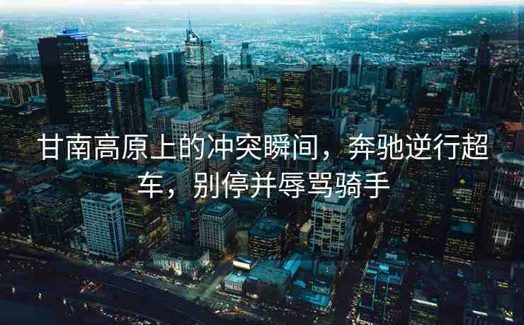 甘南高原上的沖突瞬間，奔馳逆行超車，別停并辱罵騎手