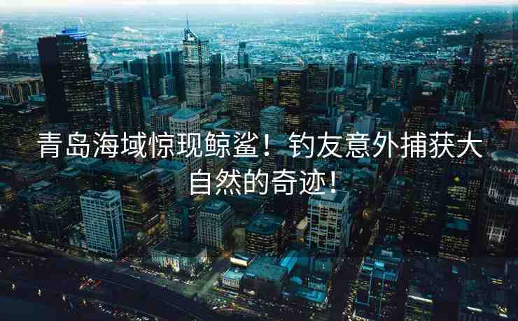 青島海域驚現(xiàn)鯨鯊！釣友意外捕獲大自然的奇跡！