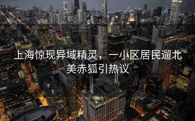 上海驚現(xiàn)異域精靈，一小區(qū)居民遛北美赤狐引熱議