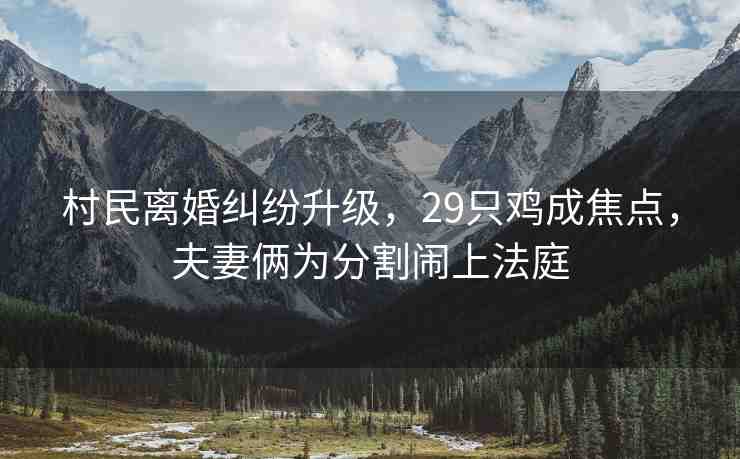 村民離婚糾紛升級，29只雞成焦點，夫妻倆為分割鬧上法庭