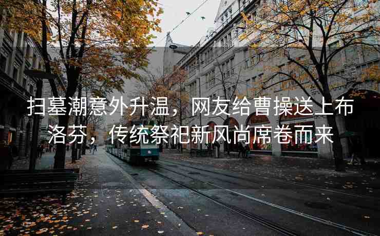掃墓潮意外升溫，網友給曹操送上布洛芬，傳統(tǒng)祭祀新風尚席卷而來