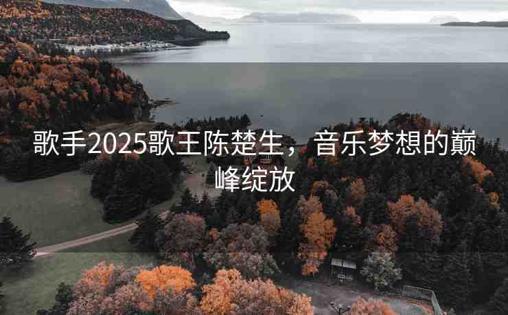 歌手2025歌王陳楚生，音樂夢想的巔峰綻放