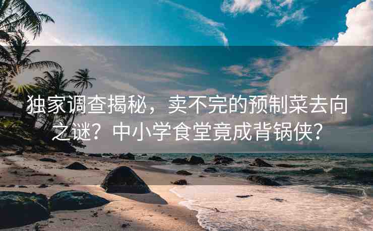 獨(dú)家調(diào)查揭秘，賣不完的預(yù)制菜去向之謎？中小學(xué)食堂竟成背鍋俠？