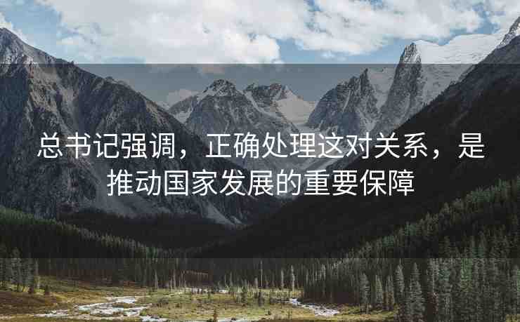 總書記強(qiáng)調(diào)，正確處理這對關(guān)系，是推動國家發(fā)展的重要保障