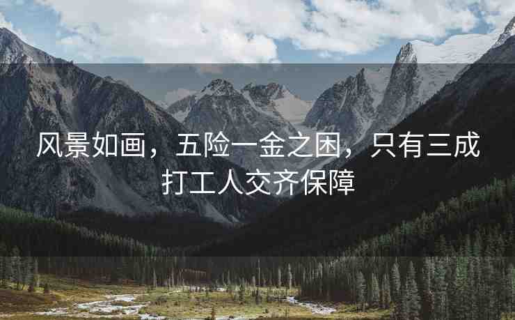 風景如畫，五險一金之困，只有三成打工人交齊保障