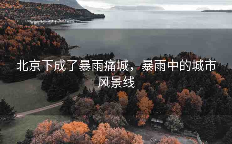 北京下成了暴雨痛城，暴雨中的城市風(fēng)景線