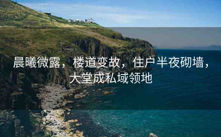 晨曦微露，樓道變故，住戶半夜砌墻，大堂成私域領地
