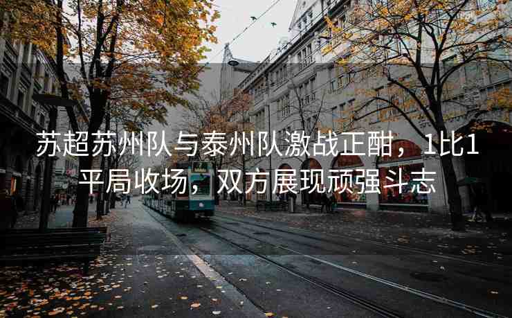 蘇超蘇州隊與泰州隊激戰(zhàn)正酣，1比1平局收場，雙方展現(xiàn)頑強(qiáng)斗志