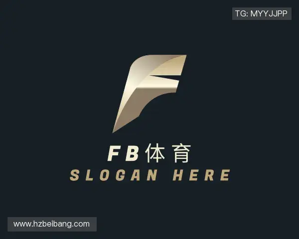 介绍FB体育官网